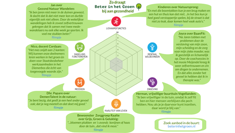 Spinnenweb: positieve gezondheid en groen - Alles is gezondheid