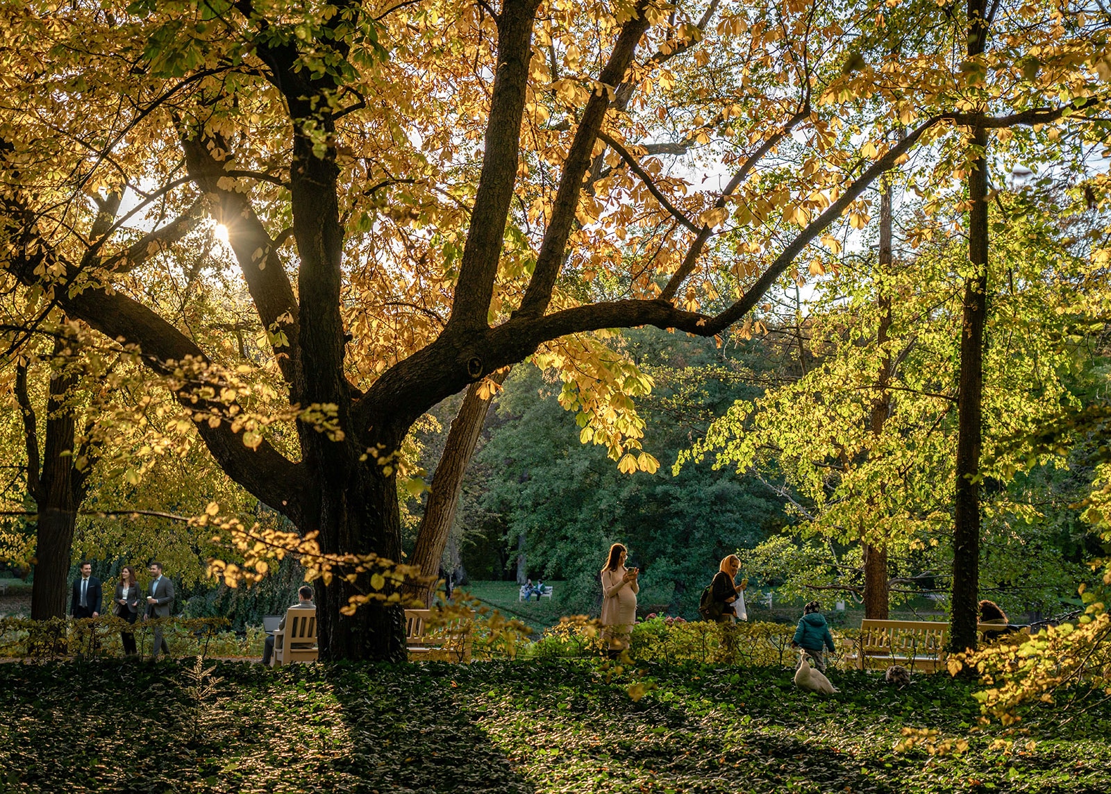 Mensen maken op allerlei manieren gebruik van een mooi bospark